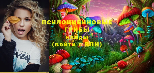 соль курить ск Надым