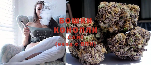 прущий лед Нея